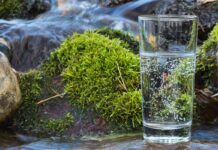 Мінеральні води Житомирщини. Міф чи реальність?