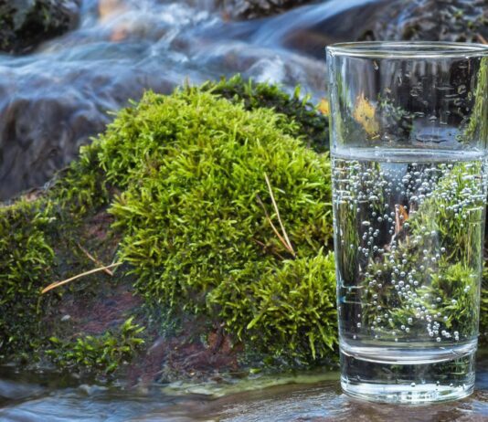 Мінеральні води Житомирщини. Міф чи реальність?