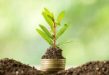 Які екологічні організації Житомира борються за чисте довкілля?