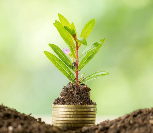 Які екологічні організації Житомира борються за чисте довкілля?