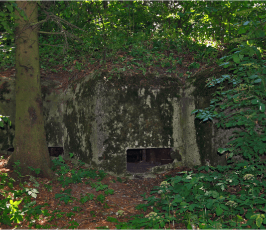 “Лінія Сталіна”: Новоград-Волинський укріпрайон