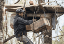 Бортництво на Житомирщині