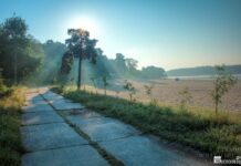 Історія і невідомі факти про Гідропарк