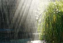 Як школяр з Житомира зібрав генератор, що працює від дощу