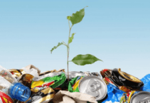 Перероблення сміття в Житомирі. Ахілесова п’ята планети