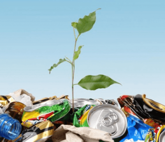 Перероблення сміття в Житомирі. Ахілесова п’ята планети