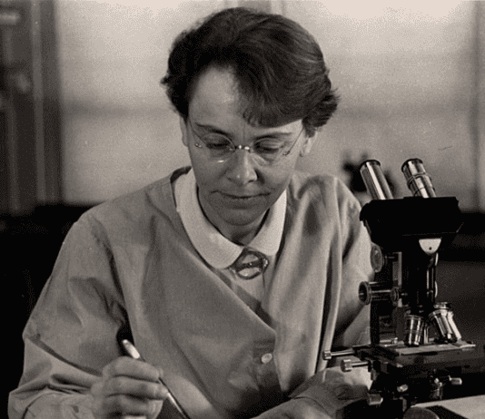 Вчені-біологи, які творили нову наукову історію у Житомирі – Леонід Куркчі та Агнеса Стадниченко