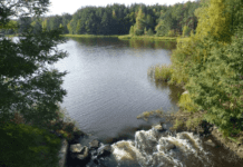 Йеллоустонский парк на Житомирщине или необычное Полесское чудо