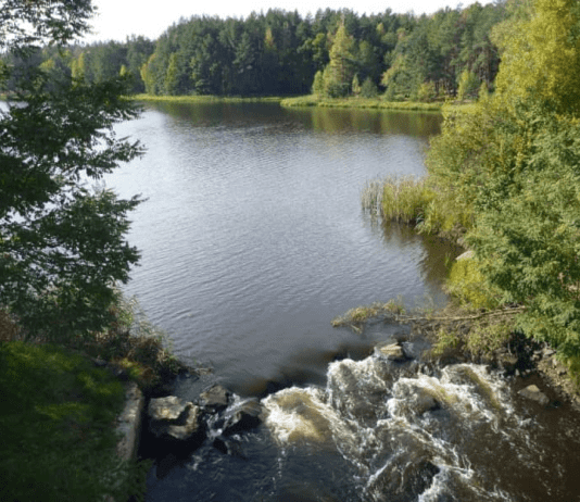 Єллоустонський парк на Житомирщині або чудернацьке Поліське диво
