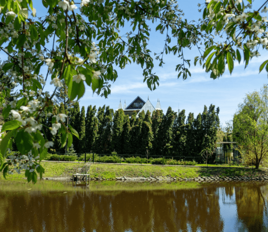 Поліська зелена скарбівня у Житомирі – Ботанічний сад