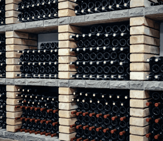 Виноробство Житомирщини