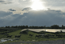 Одна з найбільших сонячних електростанцій на Житомирщині