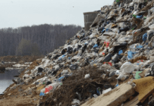 Як сортують та переробляють сміття в Житомирі