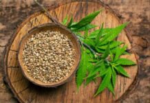 Користь конопляного насіння