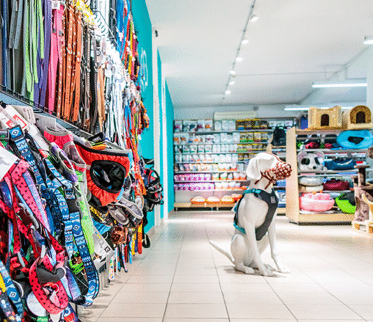 Кращі зоомагазини у Житомирі