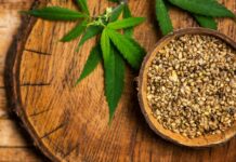 Правда і міфи про насіння канабісу: Що варто знати кожному колекціонеру