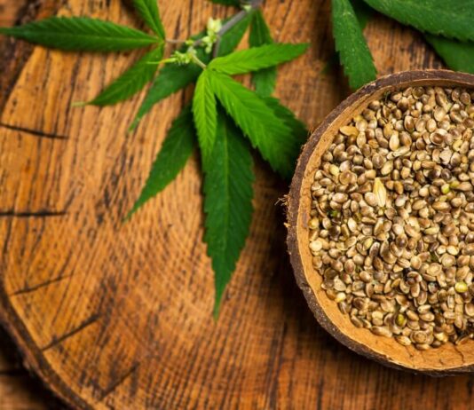 Правда і міфи про насіння канабісу: Що варто знати кожному колекціонеру